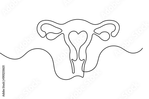 Womans uterus one line art minimalist reproductive organ outline isolated vector