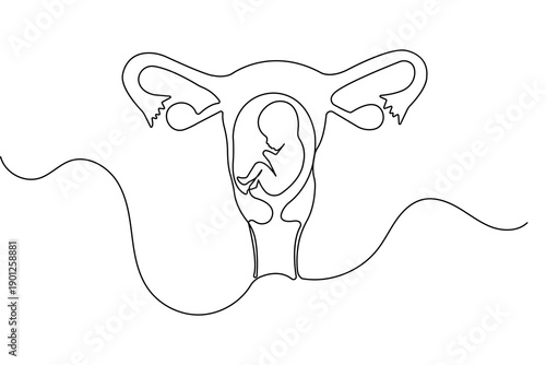 Womans uterus one line art minimalist reproductive organ outline isolated vector