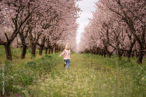 Young child wearing a hat and sweater running away on a grassy path in a vibrant orchard with rows of blooming pink almond trees during springtime, expressing freedom and joy