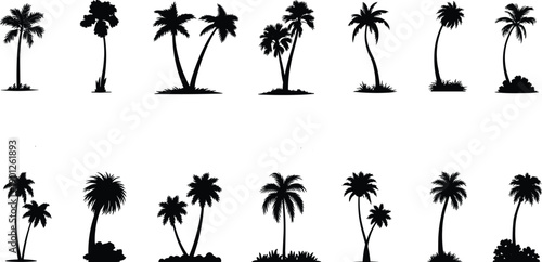 Tropical palm tree silhouettes illustration set, island beach nature plants, summer landscape elements, black flat vector collection