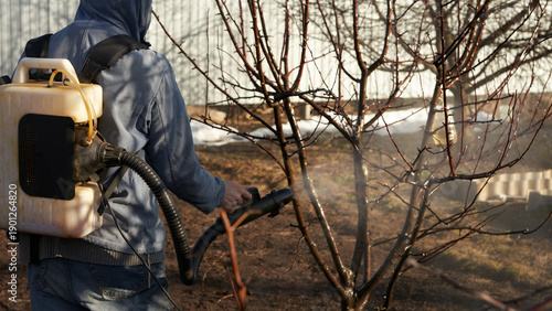 Spring garden treatment with a chemical to kill overwintering pests and fungal spores on trees. The gardener sprays the tree with an aerosol generator.