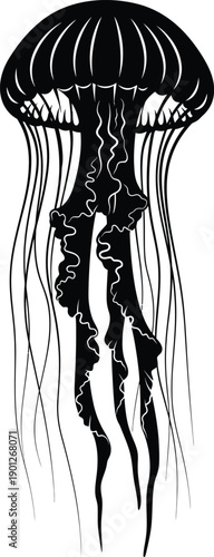 jellyfish vector silhouette icon - , ideal for wildlife, safari, and animal-themed illustrations black and white on white background 