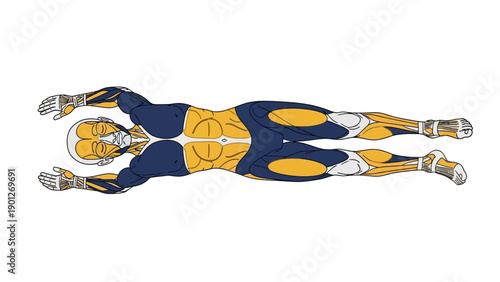 Muscle Activation Diagram: Stylized Vector Illustration of Swimmer in Prone Float Position, Highlighting Core, Gluteal, and Leg Fitness Muscles