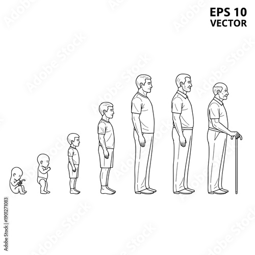 Male human life cycle outline vector illustration set