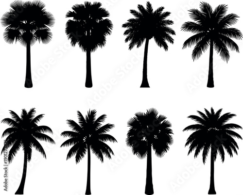 Detailed black palm tree silhouette collection featuring tropical coconut trees and exotic fan palms for summer beach vacation and coastal landscape design.