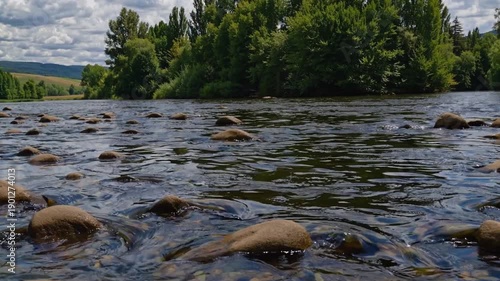 Wallpaper Mural River's Gentle Embrace: A serene shot of water meandering across smooth stones, framed by the lush embrace of trees on the horizon, embodying peace and tranquility. Torontodigital.ca