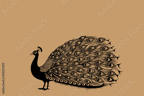 Elegant peacock illustration with detailed plumage displayed against a warm background