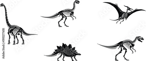 Collection of black dinosaur skeleton silhouettes for CAD drawing flat vector illustration, prehistoric fossil bones, ancient wildlife and Jurassic museum icons