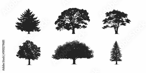 Silhouettes of various trees a collection of diverse woodland shapes