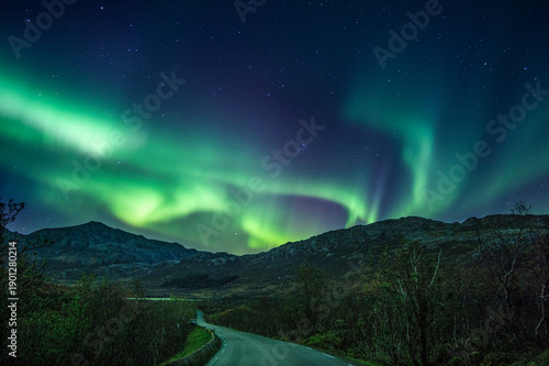 Canvastavla Arora borealis, also known as The green Dragon on sky in Lofoen islands, north