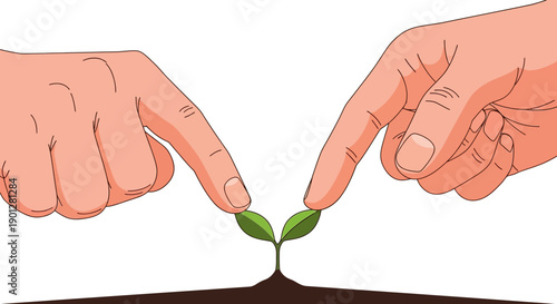 Protecting and Nurturing a Young Seedling. Hands Illustrating Growth, Environmental Care, Investment, and Sustainable Future.