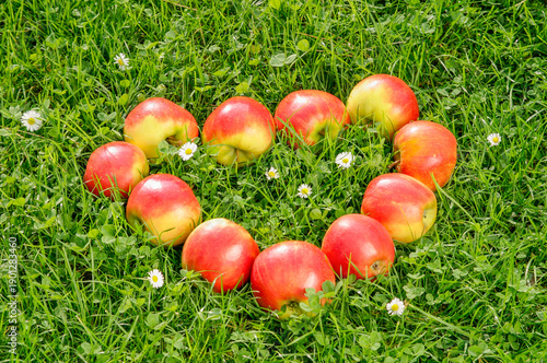 Herz aus roten Äpfel in einer grünen Wiese