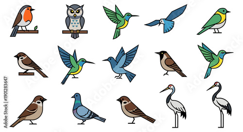 Various bird species in different poses and flight, showcasing diverse plumage and characteristics in a visually arranged collection of illustrations