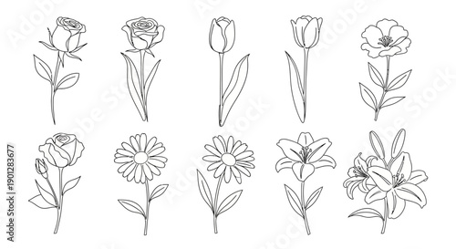 A collection of simple line drawings of various flowers and plants, including roses and lilies, viewed from the side.
