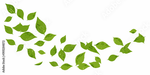 A scattering of vibrant green leaves arranged in a curved flowing design