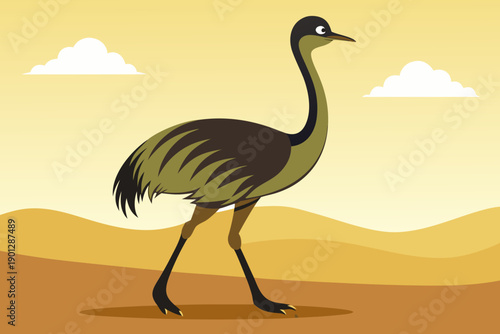 ostrich in the desert