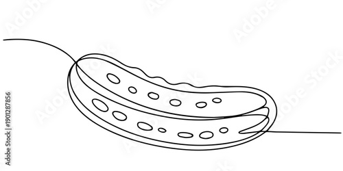 Continuous line drawing sliced cucumber pickles fresh food vegetable icon vector illustration concept, Continuous line drawing of sliced cucumber pickles. One line art concept of fresh food fruit