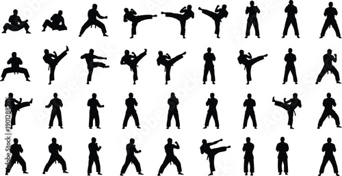 WebLarge Collection of Karate and Martial Arts Silhouettes Featuring Fighter Poses Kick Punch Kata and Combat Action Stances Isolated on White