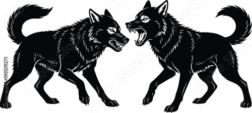 Aggressive Black Wolf Silhouettes Snarling and Growling in Confrontation, Fierce Animal Predator Vector Art Illustration Isolated on White Background Graphic