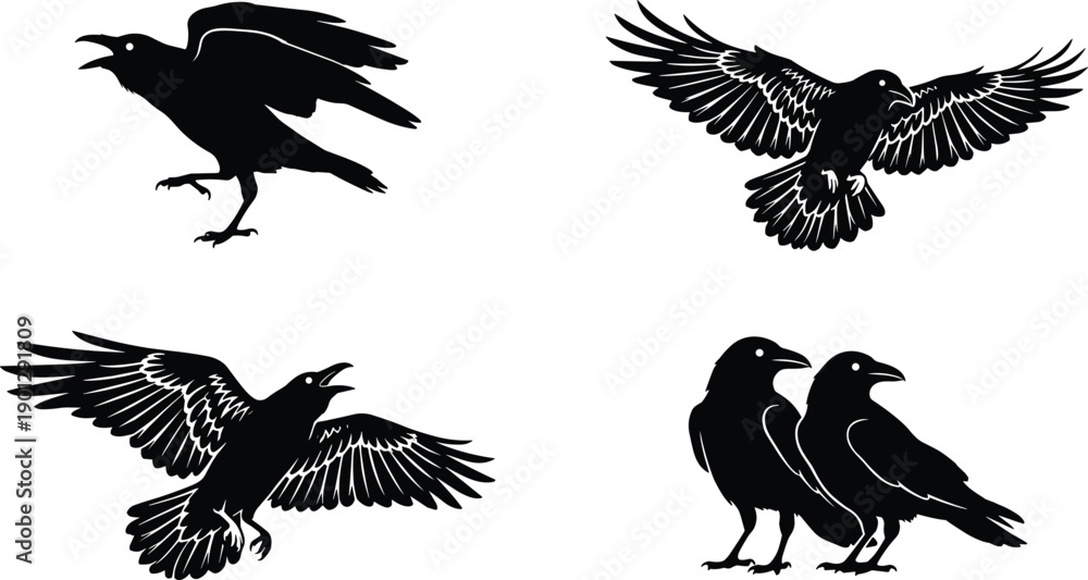 Fototapeta premium Black Crow and Raven Silhouettes Set Featuring Flying Birds Pair of Ravens and Perched Crows for Gothic Halloween Vector Design