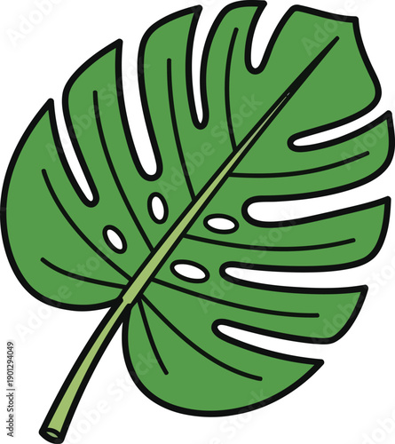 Monstera Deliciosa Leaf Tropical Swiss Cheese Plant Illustration