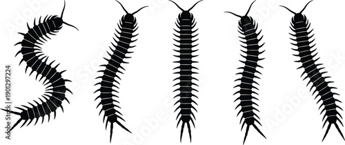 WebCentipede silhouette vector set featuring various insect body segments and crawling poses isolated on white background for nature wildlife pest control and biology illustrations
