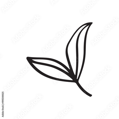Hand Drawn Two Leaves Plant Nature Line Art