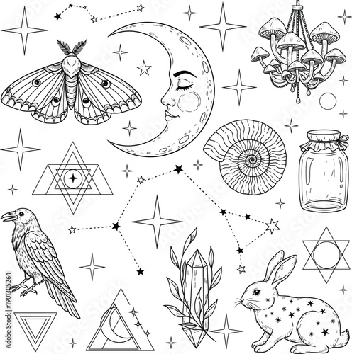 Mystical Line Art Icon Set with Celestial Moon Moth Rabbit Crow and Mushroom Chandelier for Esoteric Magic and Astrology Design Elements