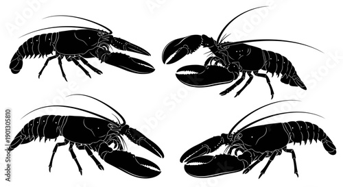 Vector silhouette illustration of lobsters in various poses, including side view, claws raised, walking, and resting