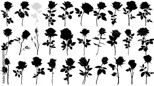 Set of diverse black rose flower silhouettes with stems and leaves, elegant botanical outlines for design, love, and romance concepts.