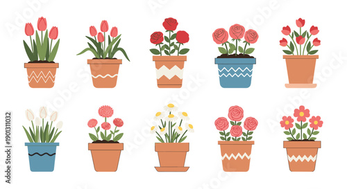 Set of various colorful flowers like tulips roses and daisies in terracotta pots for gardening and houseplant themes.