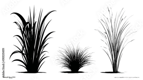 Set of black grass silhouettes, including tall reeds, a bushy clump, and slender blades, isolated vector illustrations for nature designs.
