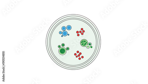 Adobe Illustrator Artwork