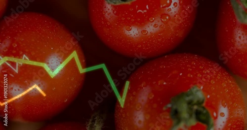 Neon zigzag lines starting left edge sweeping over tomatoes, shifting layering, showing ripeness