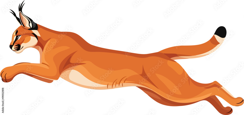 Fototapeta premium Caracal wild cat leaping in mid-air