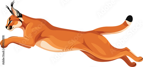 Caracal wild cat leaping in mid-air