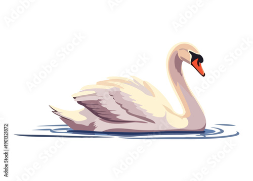 Elegant white mute swan gliding on calm blue water