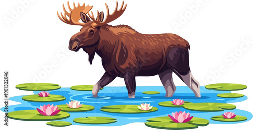 Large bull moose wading through a pond with water lilies