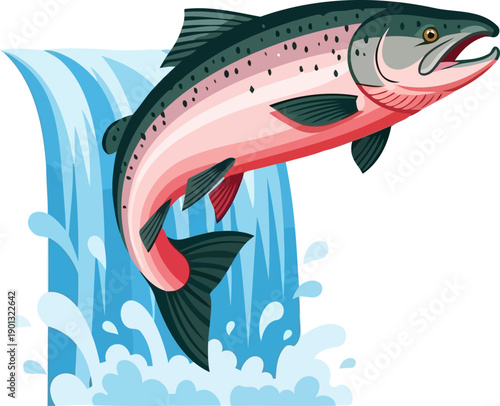 Atlantic salmon jumping up blue waterfall