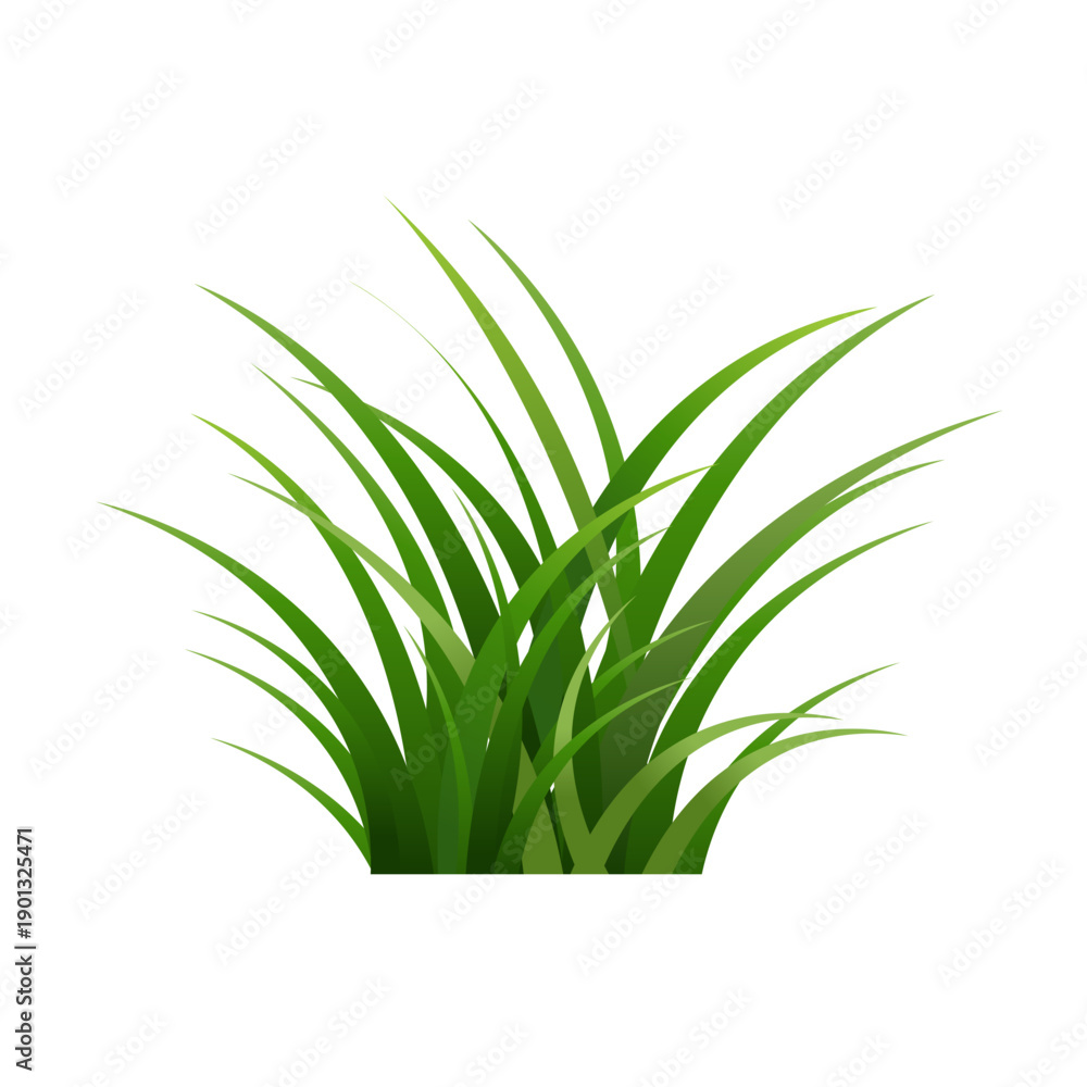 Obraz premium green grass isolated on white background