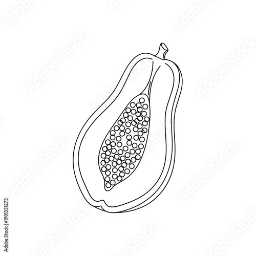 vector illustration of an apple