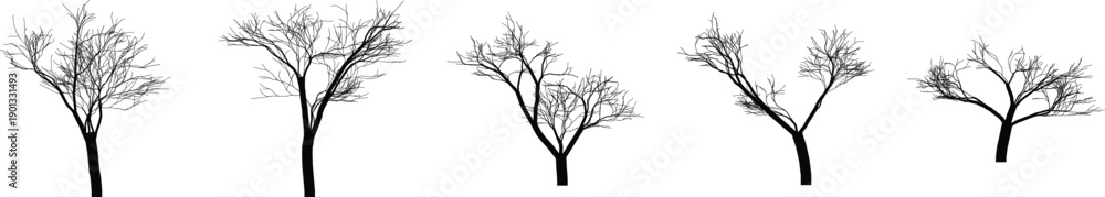Fototapeta premium Set of bare trees in various shapes and sizes trees without leaves deciduous tree silhouettes different tree shapes and forms