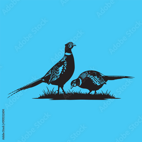 Two pheasants on grass silhouette against blue background, illustration
