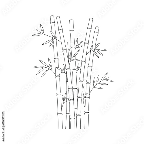 Zen bamboo forest vector illustration with elegant leaves and branches inspired by Japan and China