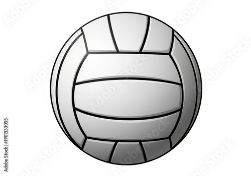 Classic black and white volleyball with distinctive panel design shown in detail