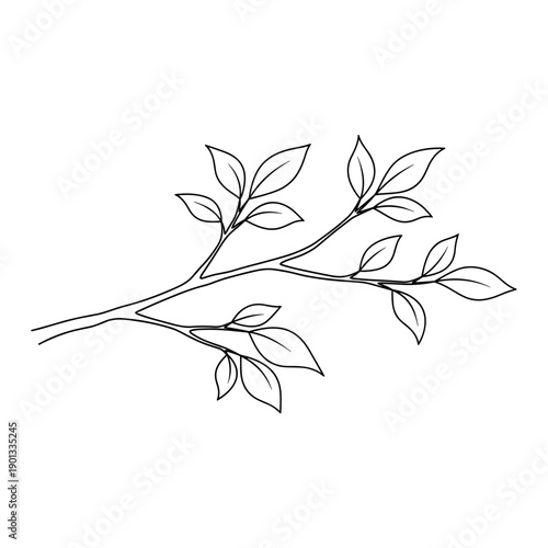 A green tree branch with fresh leaves growing naturally in springtime foliage