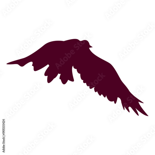 Bird flying sequence silhoutte