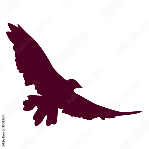 Spread Wings Bird Flying