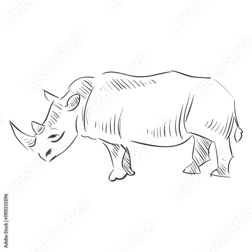 Hand drawn rhinoceros