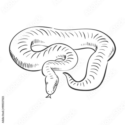 Artistic snake